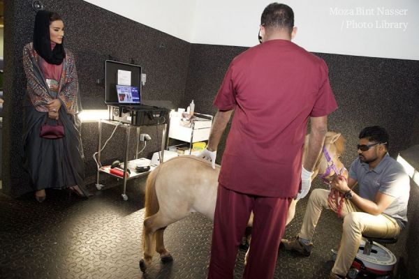 HH Sheikha Moza officially opens Equine Veterinary Medical Center 